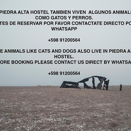 Piedra Alta Hostel & Suites La Pedrera Kültér fotó