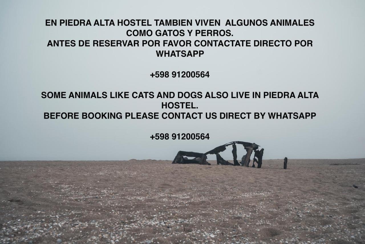 Piedra Alta Hostel & Suites La Pedrera Kültér fotó